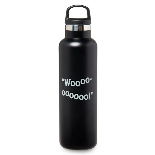 Disney DuckTales Stainless Steel Water Bottle 4 Disney DuckTales Stainless Steel Water Bottle - Image 2