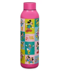 Disney Mickey Mouse And Friends Stainless Steel Water Bottle